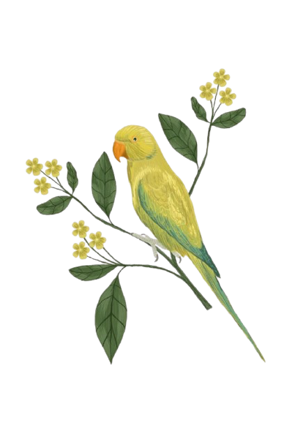 parrot